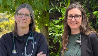 Ontario doctors raise flags over quality of in-home nursing care for dying patients