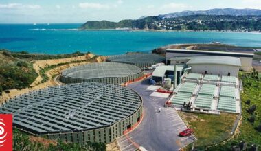 Mechanical failure sees Wellington Water discharge untreated sewage at Moa Point