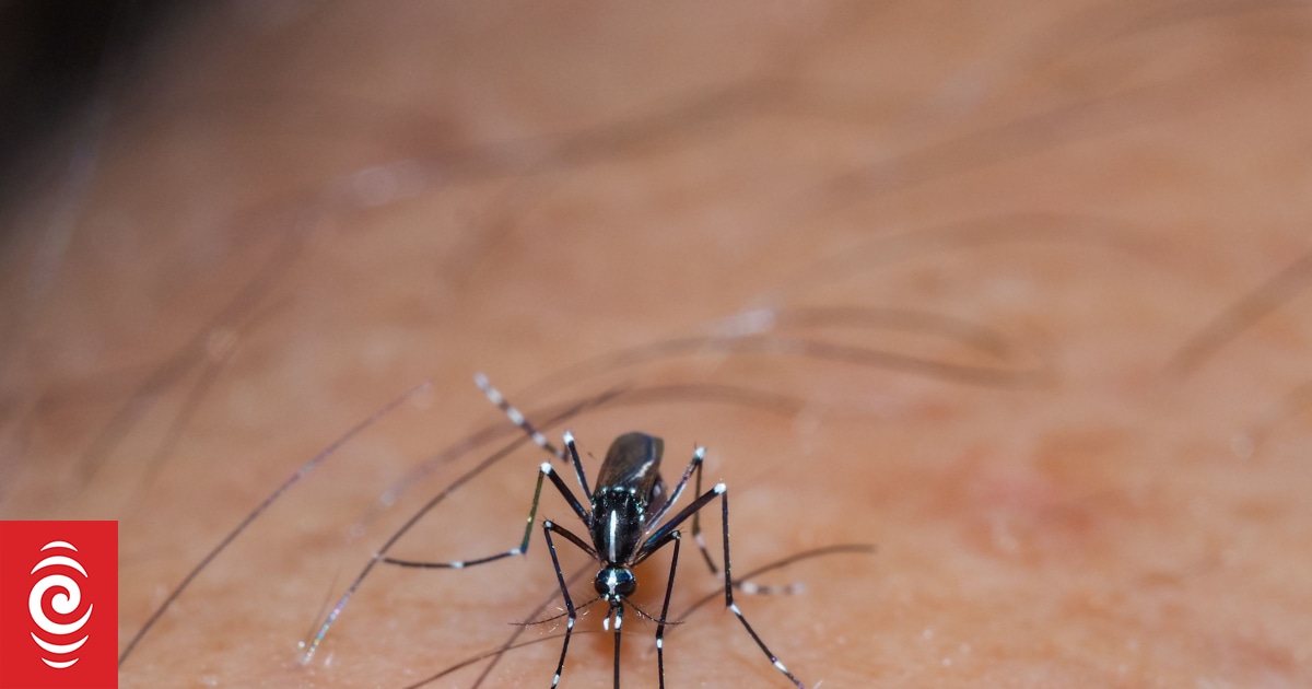 Cook Islands dengue outbreak: Travellers urged to 'please take extra precaution'