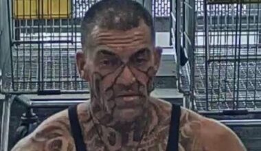 Gang member Hone Neal, who was shot by police, appears in court with co-accused