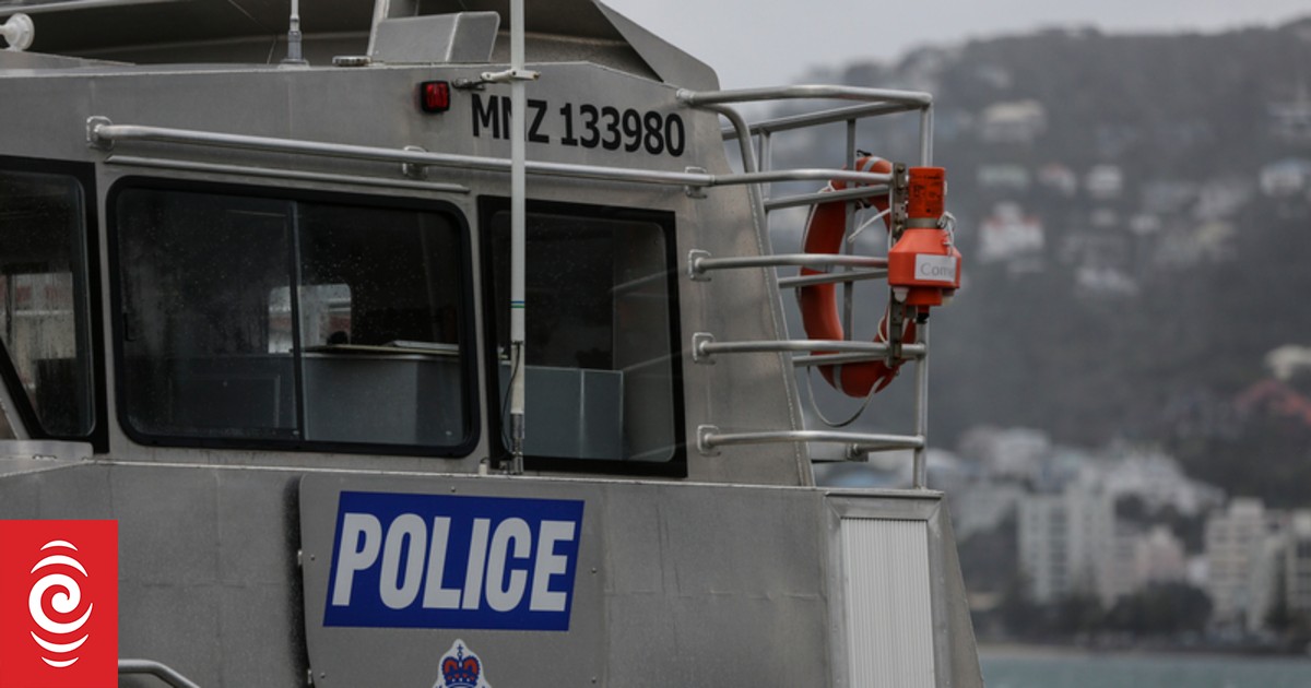 Quick getaway sinks fast as fleeing boatie runs into police catamaran