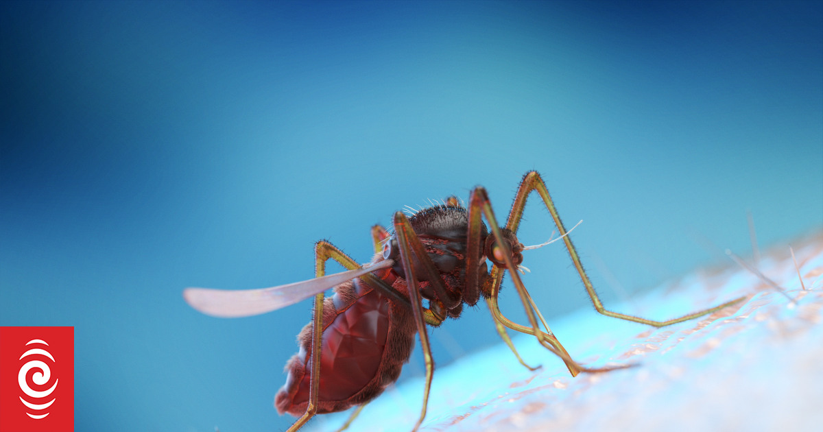 Cook Islands reports dengue fever-related death