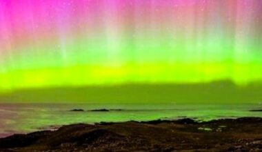 Nature Trail: The Northern Lights a super light show caused by collision of solar winds and the Earth’s atmosphere