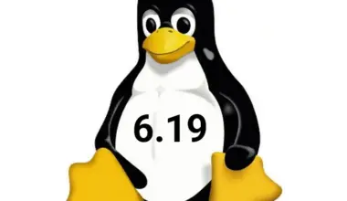 Tux for Linux 6.19