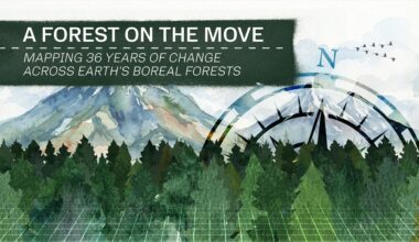Boreal Forests Are Shifting North