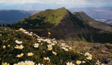 Proposed Elk Valley coal mine expansion faces scrutiny as water quality concerns continue