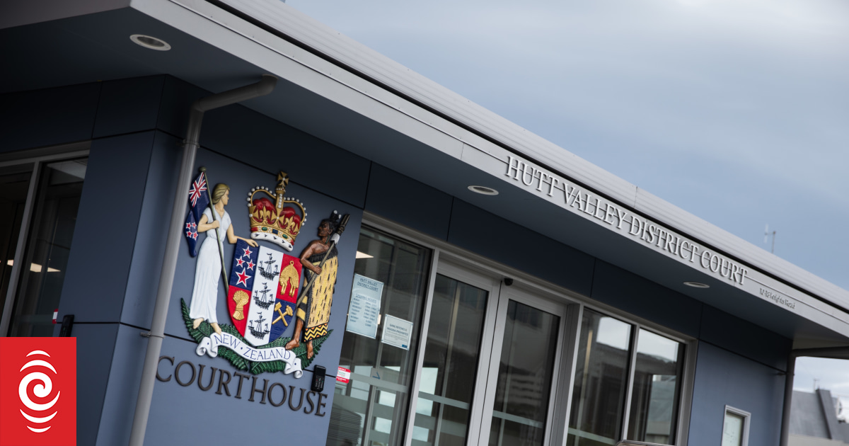 Mental health patient who stabbed stranger while on escorted leave had history of violence