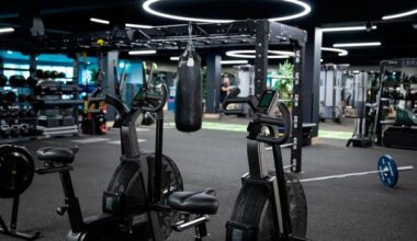 UK gym chain David Lloyd Leisure says second refusal of permission for Swords leisure centre will cost 100 new jobs