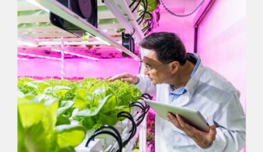 Examining the state of specialty crops ahead of Indoor Ag-Con