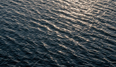 How Modern Cameras Turn Photographers Into Supervisors