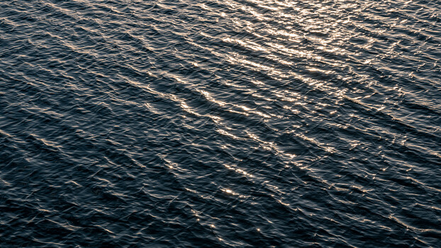 How Modern Cameras Turn Photographers Into Supervisors