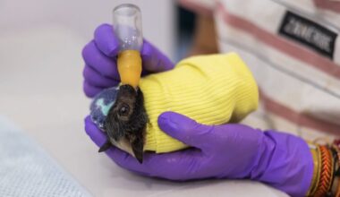 One-Of-A-Kind Hospital Saves Hundreds Of Lives A Year Caring for Most Adorable Babies