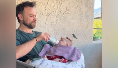 Parents’ Hearts Melt When A Hummingbird Stops By To 'Kiss' Their Baby