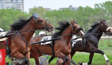 Waikato horse trainer Ival Brownlee banned for 16.5 months after winning horse tests positive for meth