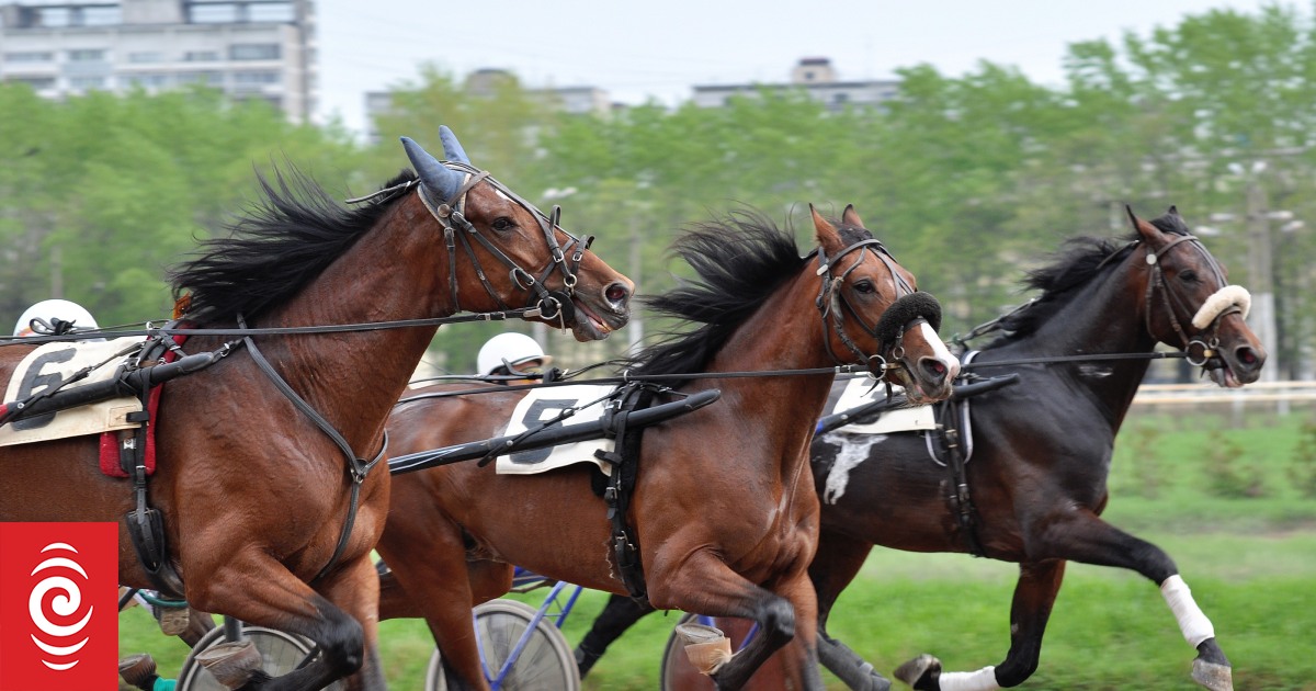 Waikato horse trainer Ival Brownlee banned for 16.5 months after winning horse tests positive for meth