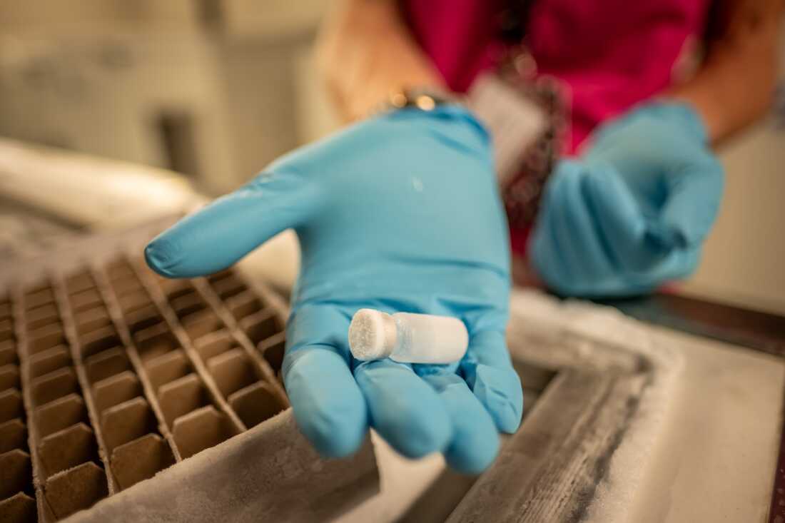 A research nurse displays a dose of an experimental new drug for pre-eclampsia at Tygerberg Hospital in Cape Town, South Africa. A team of researchers from the University of Stellenbosch is currently trialling the drug.
