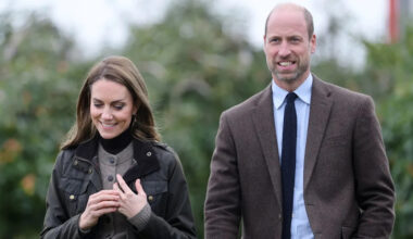 Yahoo entertainment home