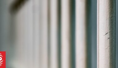 Multiplying cells: A tale of two prisons