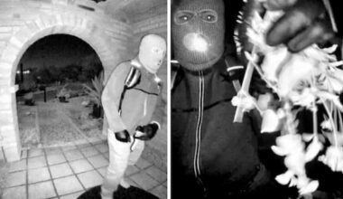 Glove DNA evidence near Guthrie home matches suspect