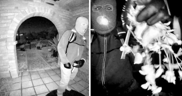 Glove DNA evidence near Guthrie home matches suspect