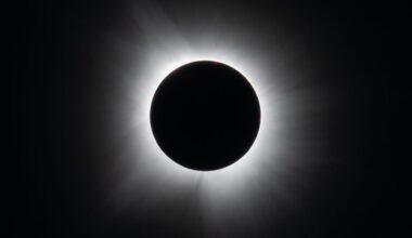 ‘Ring of fire’ solar eclipse: February 2026 path, visibility over Antarctica and partial eclipse for South Africa
