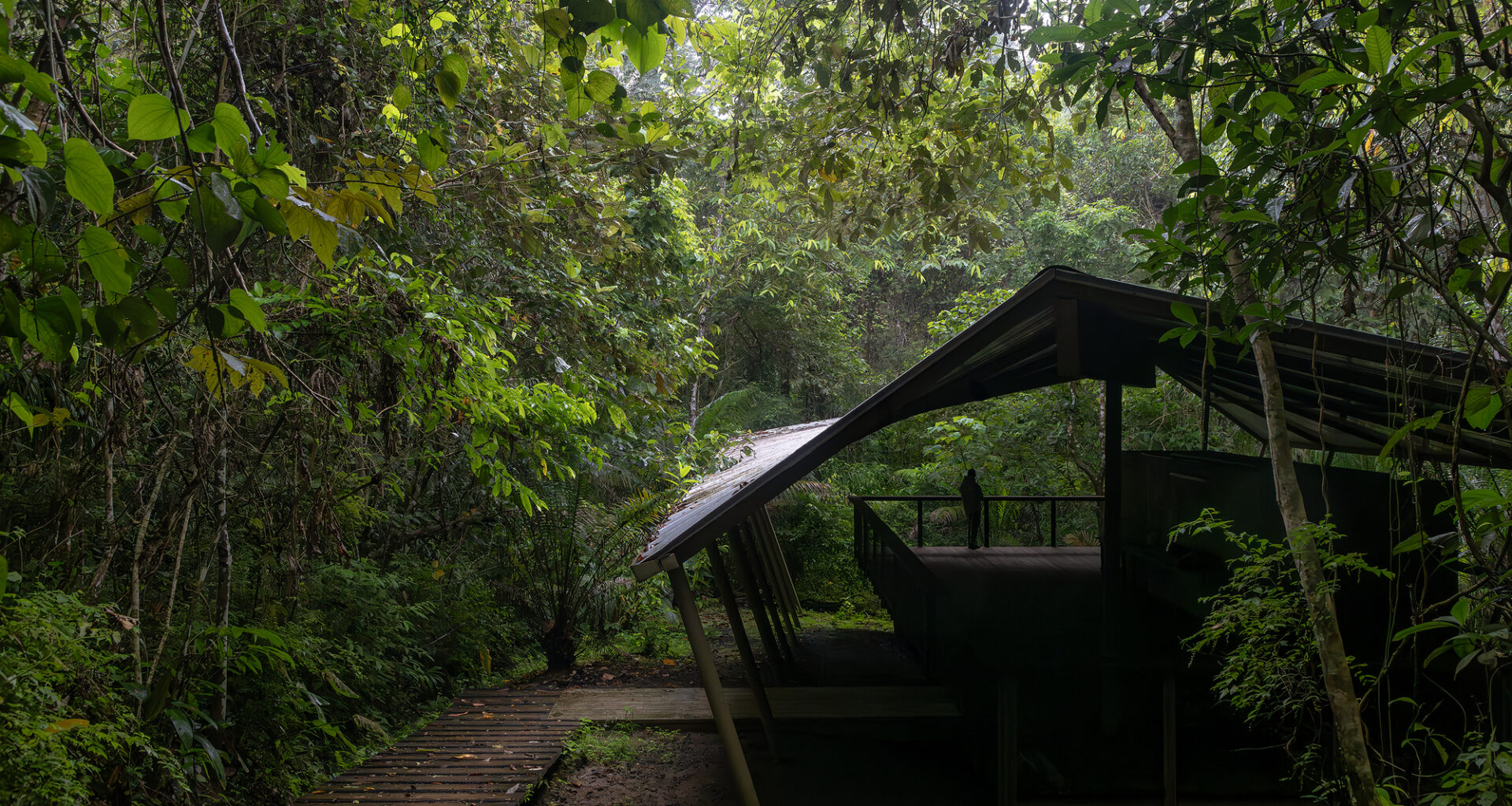 Refuge in the Rainforest - Tour Guide Training Center / Héctor Ayarza + Estudio Garúa