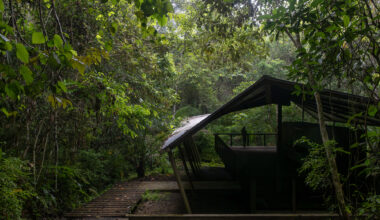 Refuge in the Rainforest - Tour Guide Training Center / Héctor Ayarza + Estudio Garúa