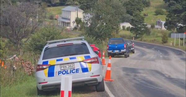 'Systemic change' needed in wake of tragic Northland dog mauling