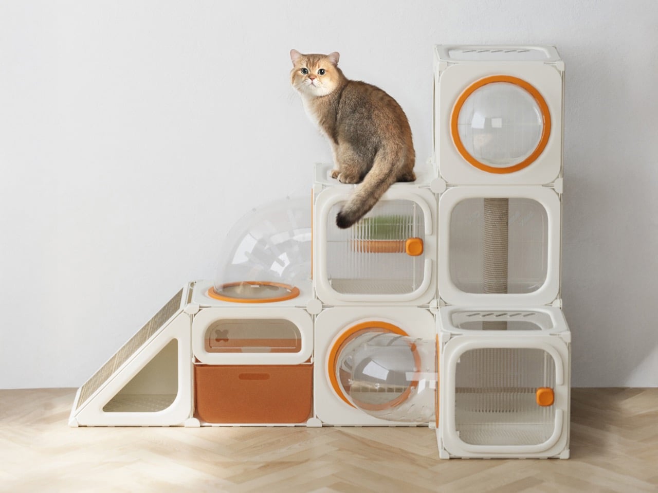 The Modular Cat Habitat That Turns Playful Curiosity Into Living Architecture