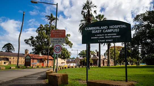 Both nurses had been suspended from work at Cumberland Hospital before their deaths in 2020.