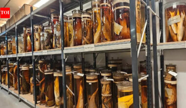 Scientists finally reveal what’s inside Charles Darwin’s 200-year-old jars |