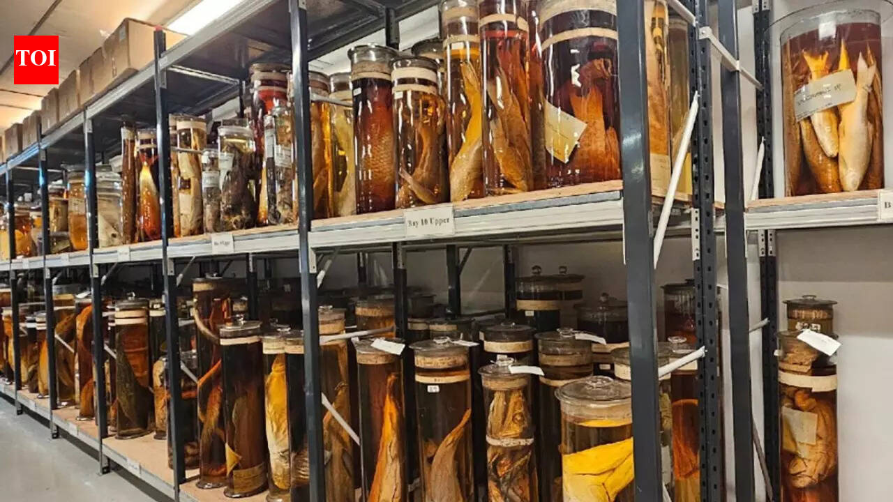 Scientists finally reveal what’s inside Charles Darwin’s 200-year-old jars |