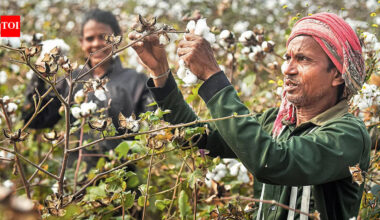 Why trade deals can’t help India become a major apparel exporter