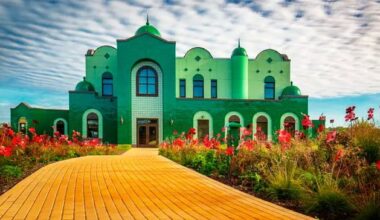 Children’s Health Ireland executives urged to address ‘eye-watering’ spend on travel to US