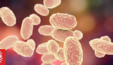 Vanuatu's Health Ministry says whooping cough under control