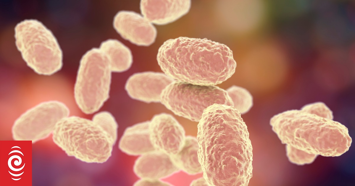 Vanuatu's Health Ministry says whooping cough under control