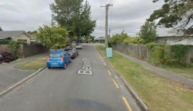 Christchurch dog attack: Woman summonsed to appear in court under Dog Control Act