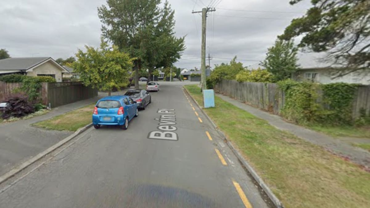 Christchurch dog attack: Woman summonsed to appear in court under Dog Control Act