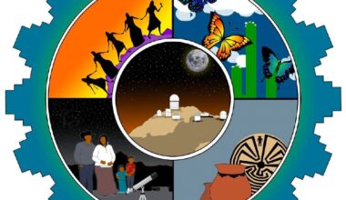 Astronomy Activation Ambassadors: Embracing Multiple Perspectives