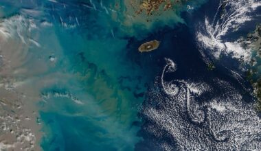 Showy Swirls Around Jeju Island