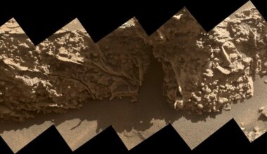 Curiosity Studies Nodules on Boxwork Formations