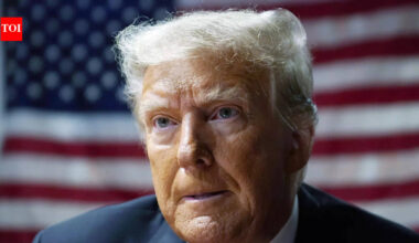 Trump Tariffs: Trump's new global tariff aims to balance payments, but is it even needed? Here's what experts say