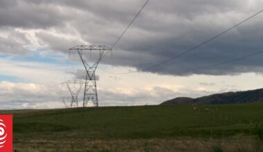 Power concerns: Lines companies urged to consider 'non-network' solutions