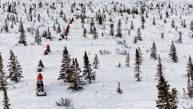 Delegates talk, rangers trek as interest in Arctic security grows