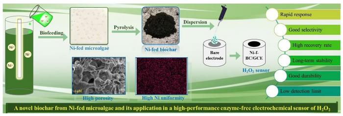 A novel biochar from Ni-fed picochlorum eukaryotum for use as a high-performance enzyme-free electrochemical sensor of hydrogen peroxide