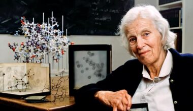 Royal Society asks for help as it unveils interactive UK map charting memorialisation of women in science | News