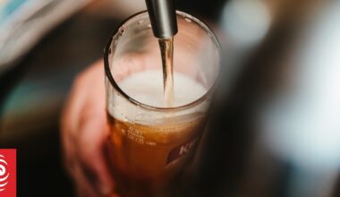 Fizz goes out of the beer industry as consumption keeps falling