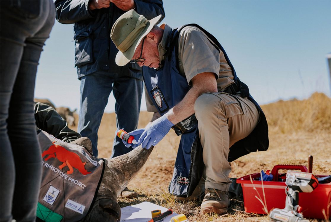 Radioactive Isotopes Being Embedded in Rhino Horns Seen as 'Magical' Anti-Poaching Solution