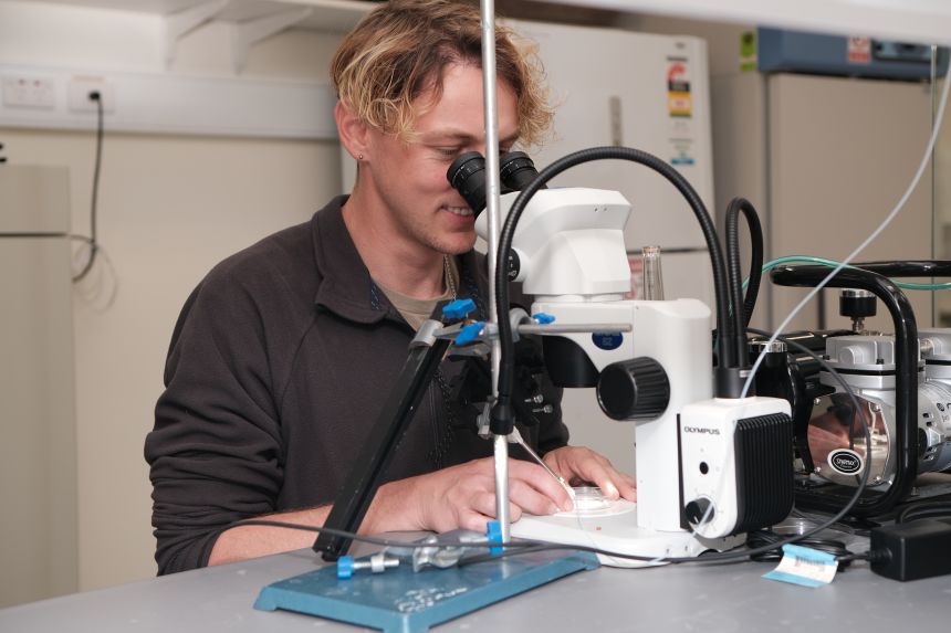 Waddle, pictured, believes classic conservation tools alone — including his own innovations — won’t be enough to stop the amphibian extinction crisis. 