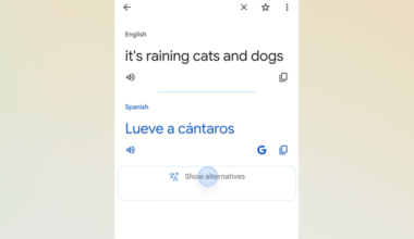 Google Translate is using Gemini AI to offer alternative translations based on context.